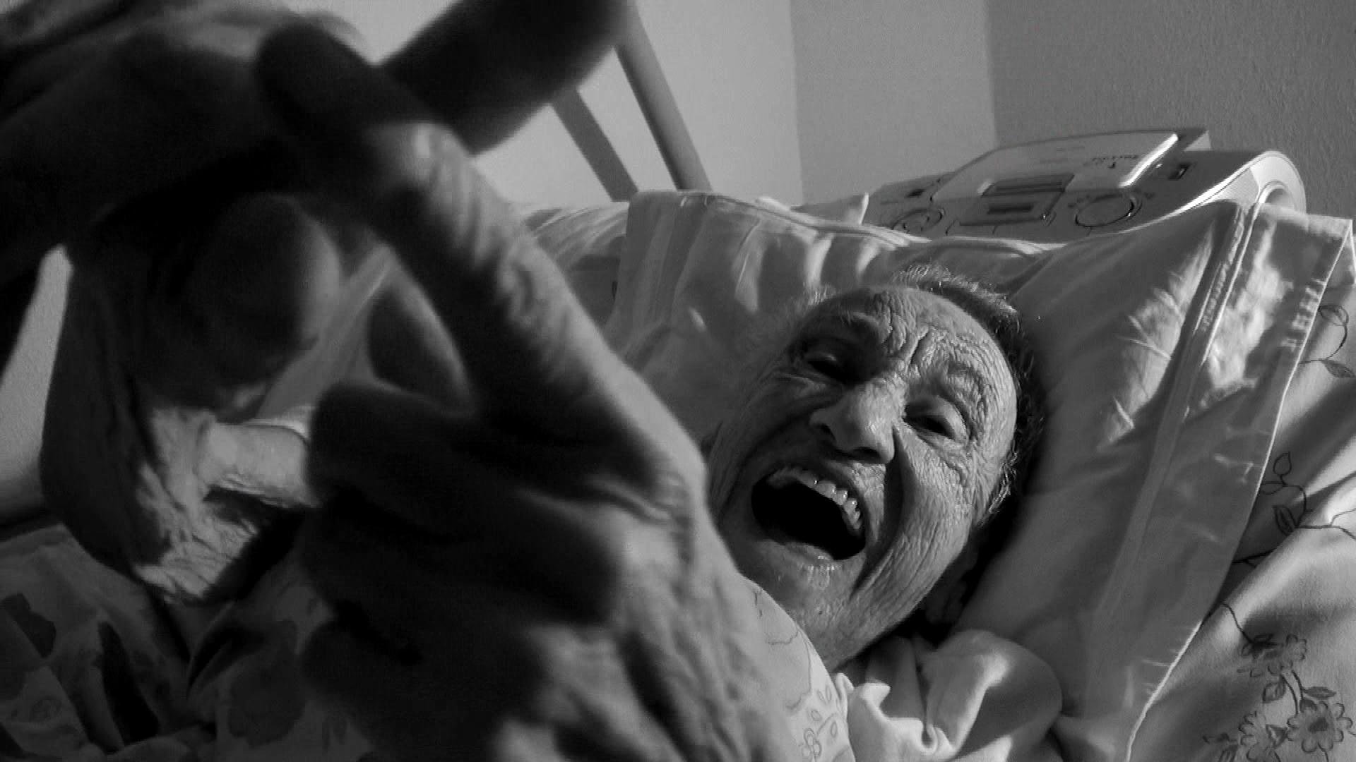 Twilight of a Life Flanders Image